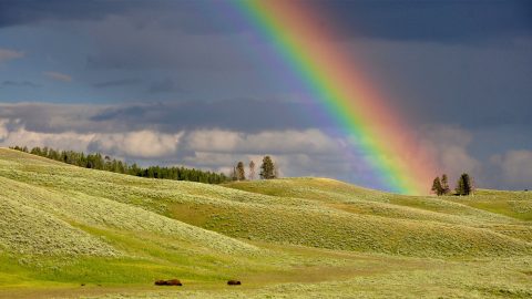Regenbogen über Landschaft
