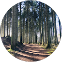 Markus J. Ruthemann profile picture